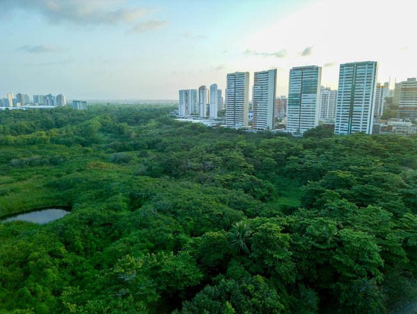 Les stages : une porte vers l'emploi