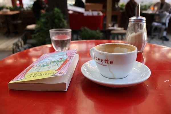 Énergie renouvelable : choisissez un expert fiable pour votre transition